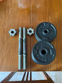 Set manubri domyos