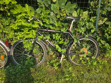 Bicicletta