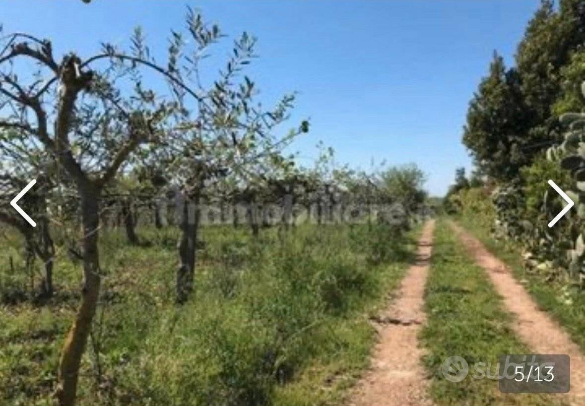 COMPLESSO IMMOBILIARE + TERRENI - Vista 2