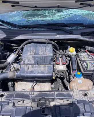 motore FIAT Punto Evo  (199) 1.4 Benzina gpl