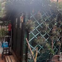 ATTREZZI PER ORTO E GIARDINO