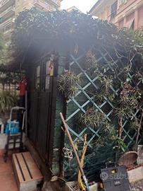 ATTREZZI PER ORTO E GIARDINO