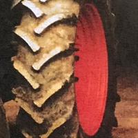 Coppia gomme complete di cerchi Landini L45 16/38