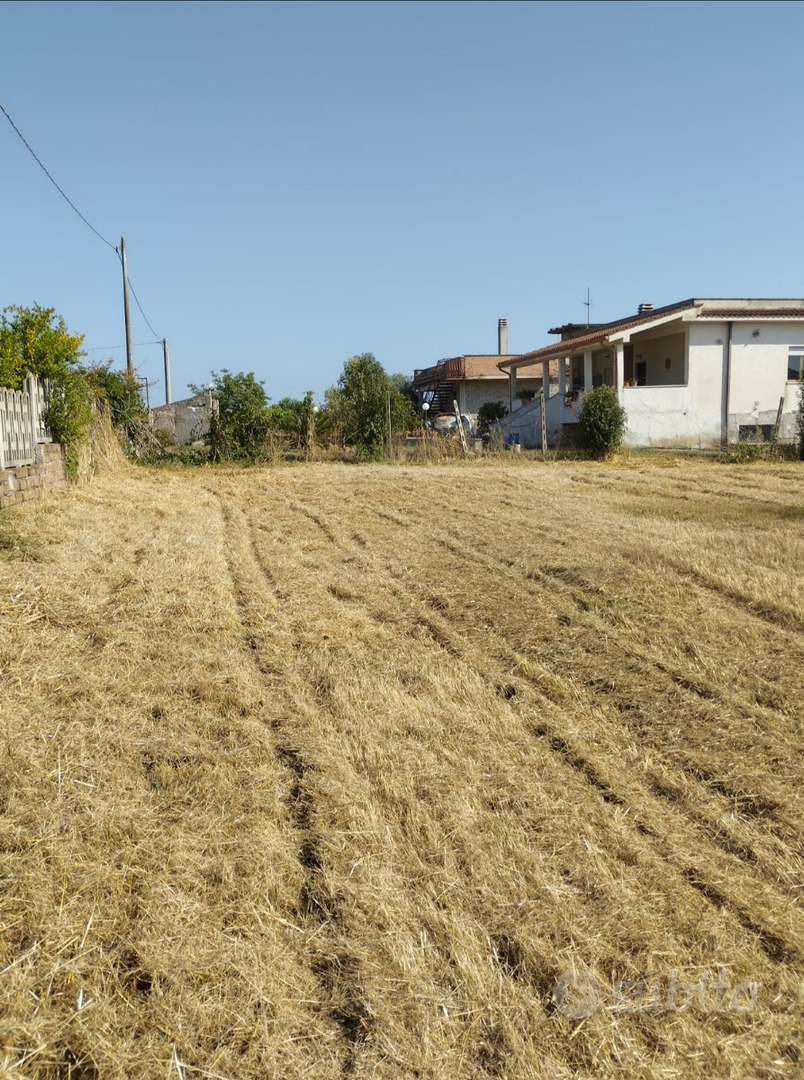 Vendita Terreno Edificabile Anzio - Vista 4