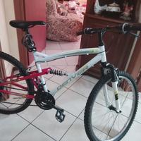 BICI DENVER CON AMORTIZZATORE INOX