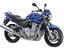 Immagine 15