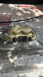 Cerchi moto e pinza  ant brembo