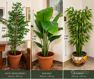 3 piante artificiali grandi Ficus, Banano e Bamboo