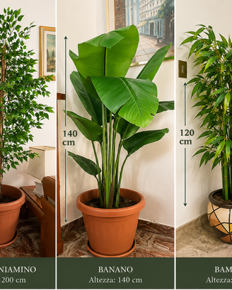 3 piante artificiali grandi Ficus, Banano e Bamboo