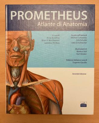 Atlante di Anatomia Prometheus, seconda edizione.