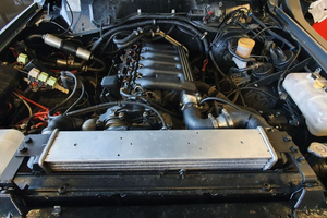 M57 306D1 BMW 3000 SWAP Motore cablaggio semp