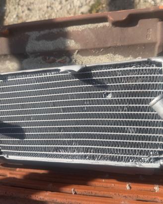 Radiatore CRF 250 2016 – Rigenerato Professionalme