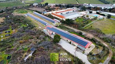Azienda Avicola 3 HA con capannoni e residenza