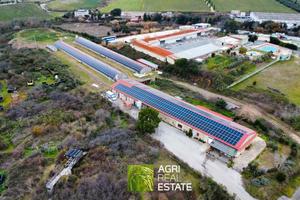 Azienda Avicola 3 HA con capannoni e residenza