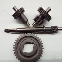 Ingranaggi rinforzati ciao/si