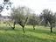 Immagine 8