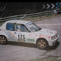 Materiale peugeot 205 rallye/gti