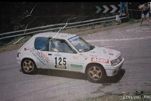 Materiale peugeot 205 rallye/gti