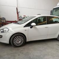 fiat punto diesel 