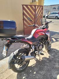 Benelli TRK 251