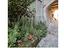 Immagine 12