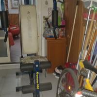 Palestra Carnielli GIMSTAR 900