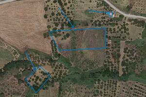 Terreno agricolo Calatafimi