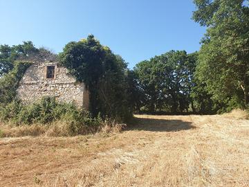 Rustico a Lugnano in Teverina