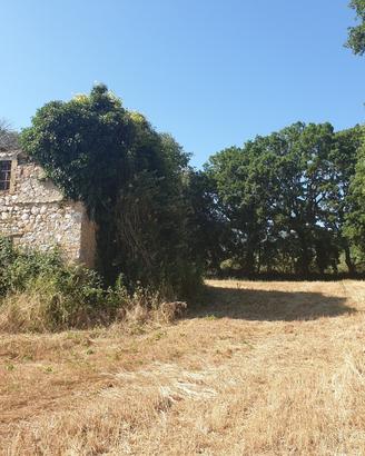 Rustico a Lugnano in Teverina