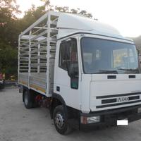 IVECO 65E14 CENTINE E TELONE
