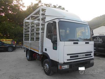 IVECO 65E14 CENTINE E TELONE