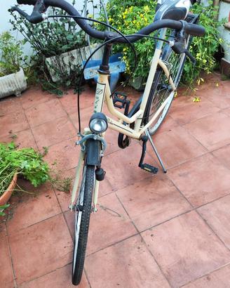 Bicicletta da donna 