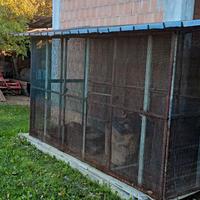 4 miste Gabbie rete anti Ratto 