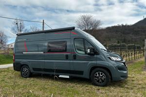 Roller Team livingstone 5 sport limited