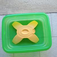 Tartarughiera, vasca per tartarughe