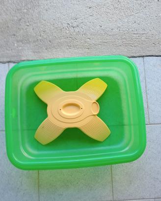 Tartarughiera, vasca per tartarughe