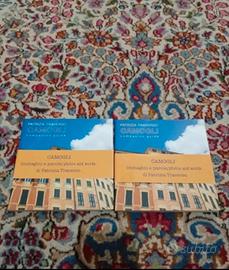 CAMOGLI COMPANION GUIDE.

PATRIZIA TRAVERSO.

