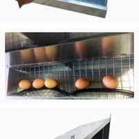 nido galline anti topi 