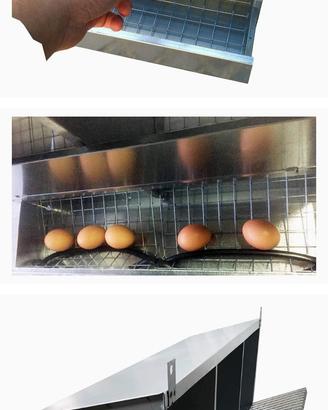 nido galline anti topi 