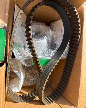 Kit distribuzione pompa acqua Ford Fiesta 1.4 tdi