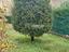 Immagine 19