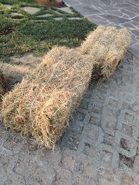 Ballette di fieno rettangolari – 90×50×35 cm