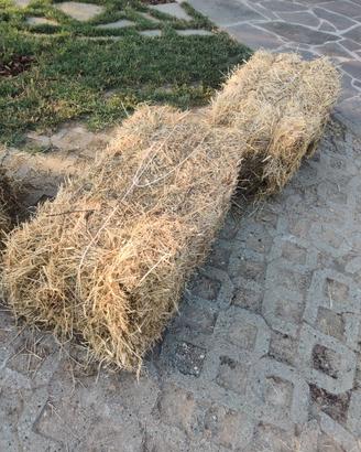 Ballette di fieno rettangolari – 90×50×35 cm