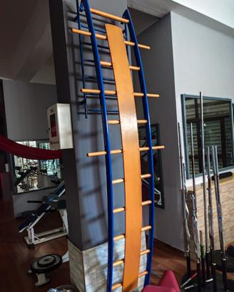 Scala ortopedica curva