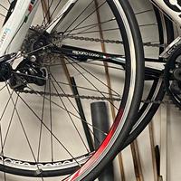 Biciclette Bianchi da strada