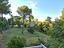 Immagine 11