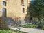 Immagine 10