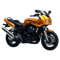 SCARICO ORIGINALE - Yamaha Fzs 600 Fazer