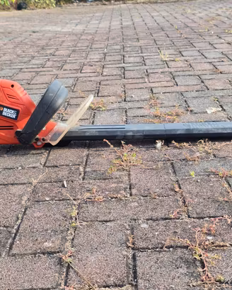 Tagliasiepi Black & Decker elettrico