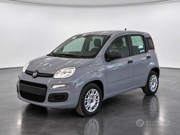 FIAT Panda III 2021 - Panda 1.2 easypower Gpl s&s